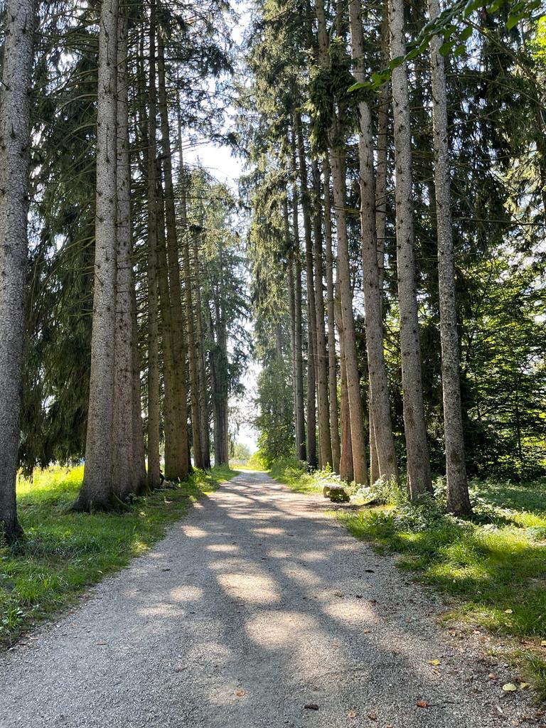 Familia și timpul petrecut în natură
