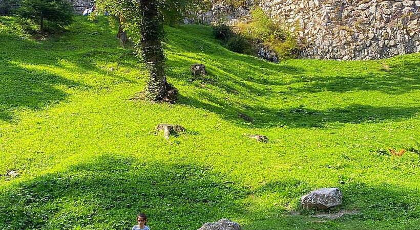 Try the technique of connecting to the earth below us